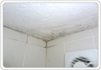 mould in the bathroom ceiling