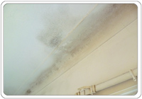 mold on ceilings
