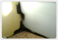 Severe mould in a bedroom 