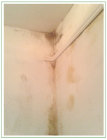 mould on a ceiling