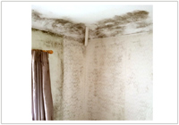 severe mould on walls and ceiling